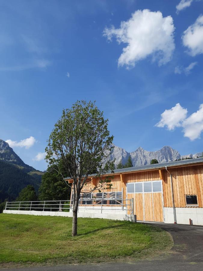 Appartement Muehlebnerhof Ramsau am Dachstein Luaran gambar