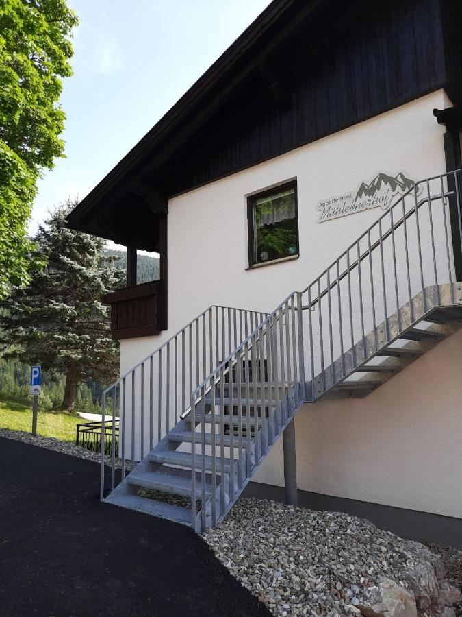 Appartement Muehlebnerhof Ramsau am Dachstein Luaran gambar