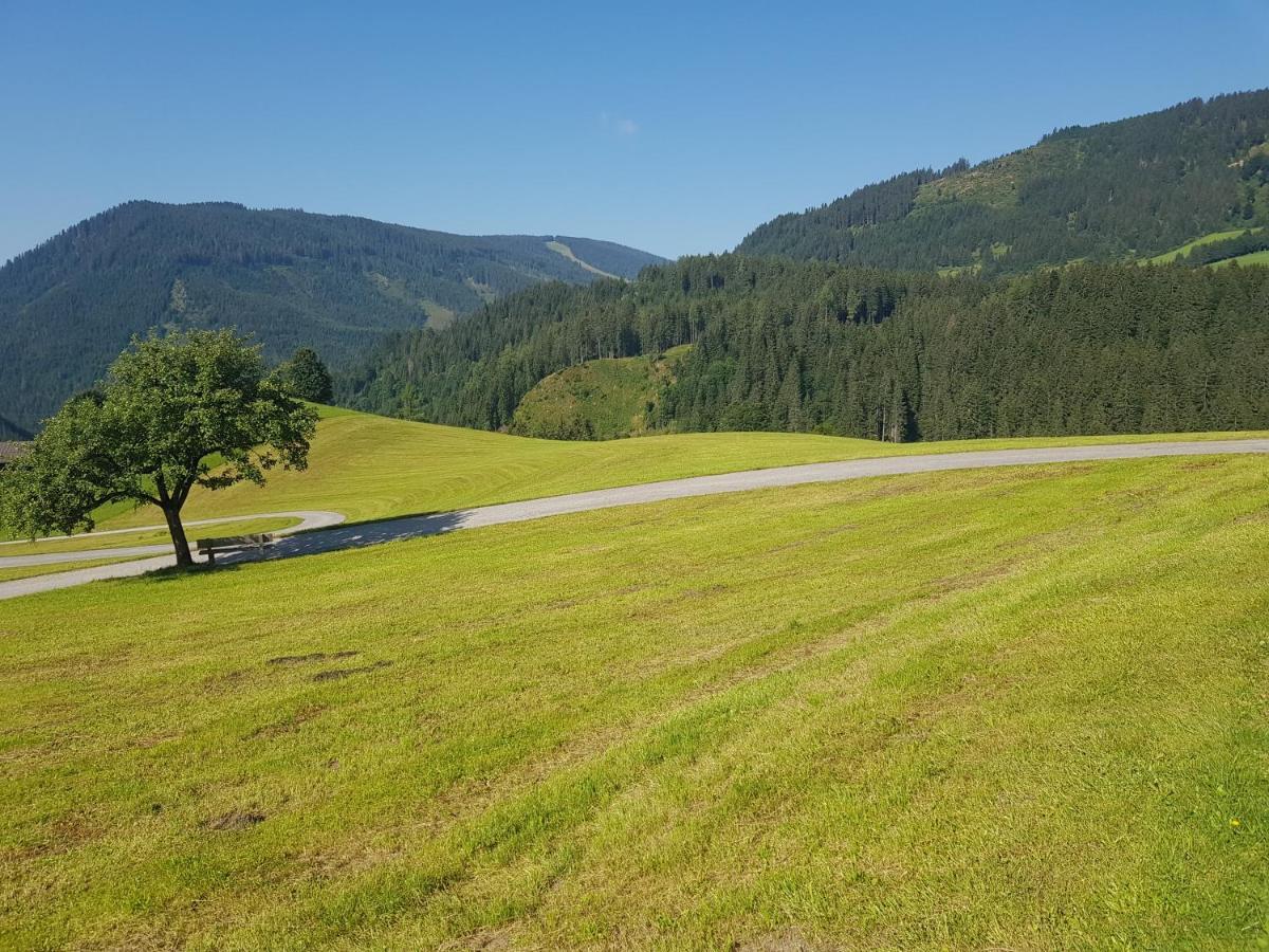 Appartement Muehlebnerhof Ramsau am Dachstein Luaran gambar