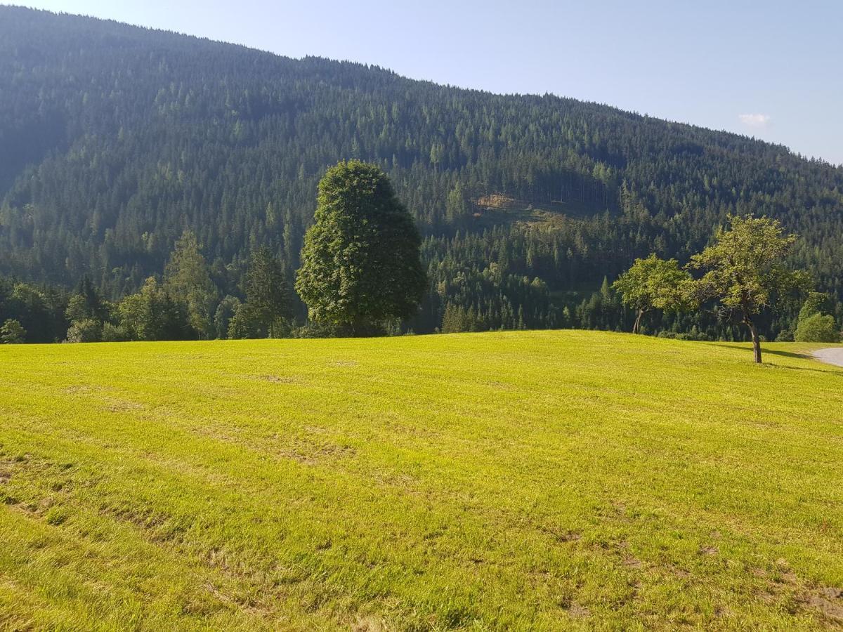 Appartement Muehlebnerhof Ramsau am Dachstein Luaran gambar