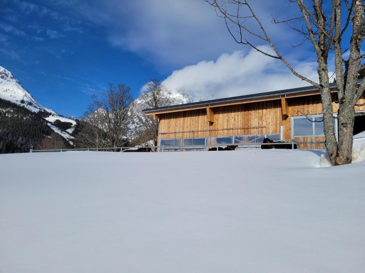 Appartement Muehlebnerhof Ramsau am Dachstein Luaran gambar